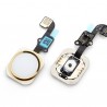 Flex Botón Home iPhone 6G / 6 plus Oro