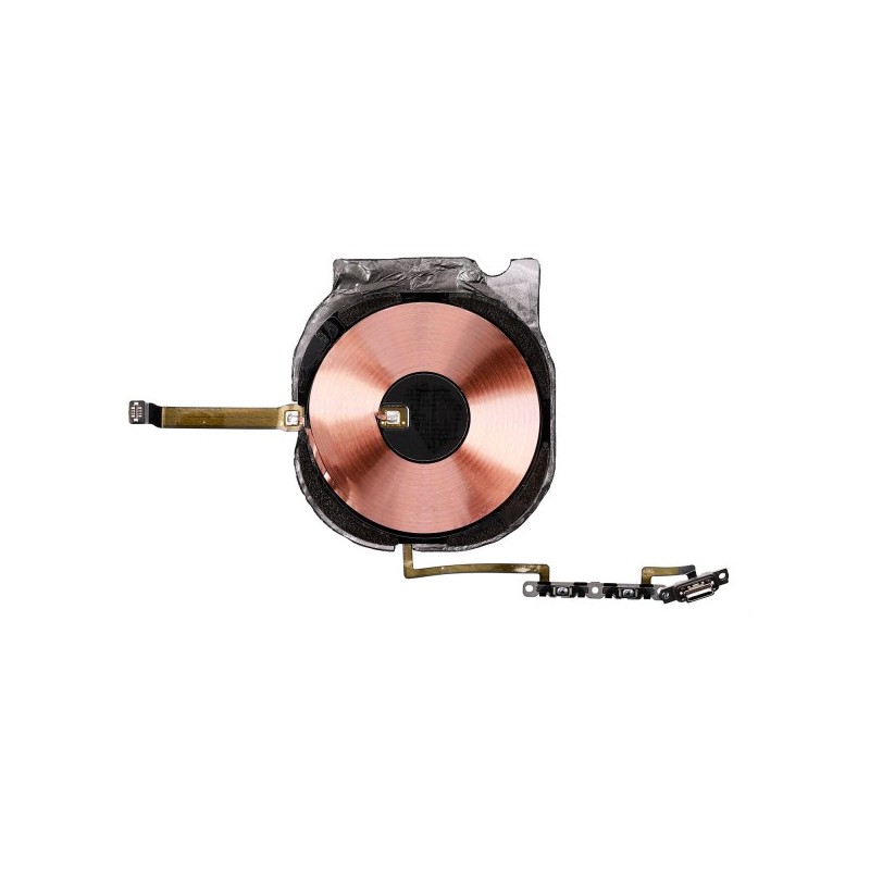 Flex NFC y botones de volumen iPhone 11 Pro